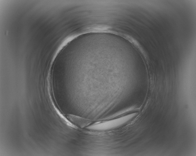 X0000079281432200612011646