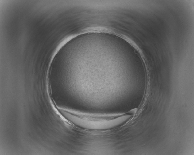 X0000079281440200612011647