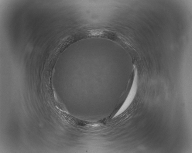 X0000079281441200612011646