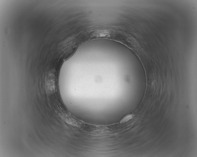 X0000079281442200612011646