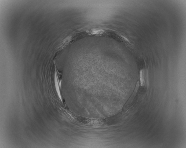 X0000079281443200612011646