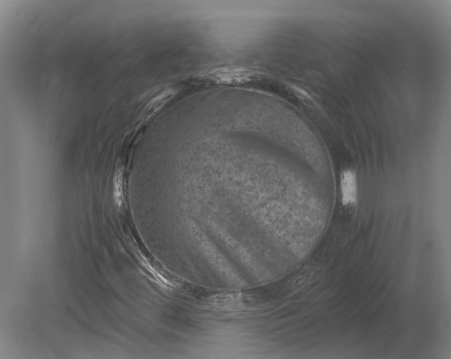 X0000079281444200612011646