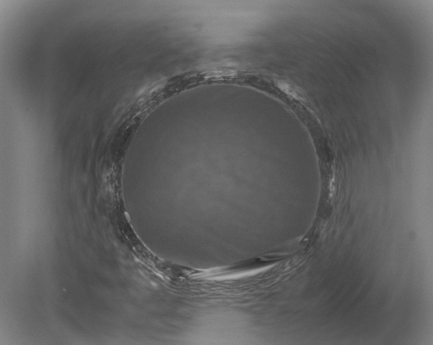 X0000079281445200612011646
