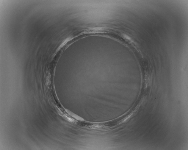 X0000079281449200612011646