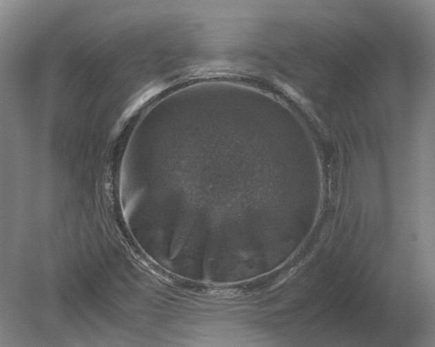 X0000079281453200612011646