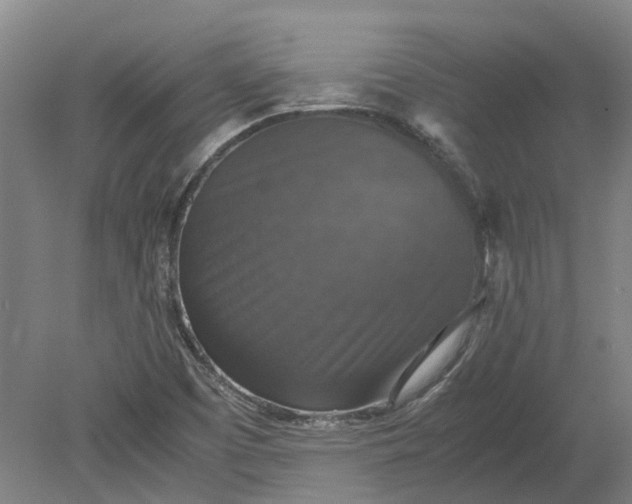 X0000079281457200612011646