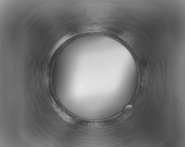 X0000079281458200612011646