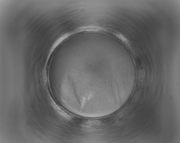 X0000079281466200612011645