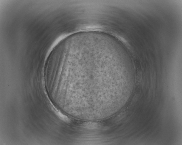 X0000079281470200612011645