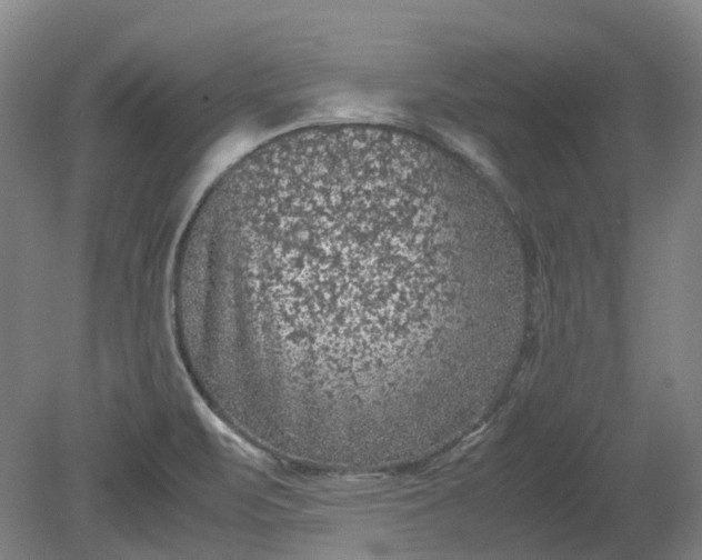 X0000079281471200612011645