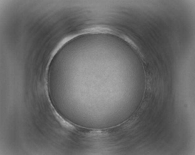 X0000079281478200612011645