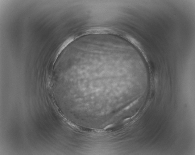 X0000079281481200612011645