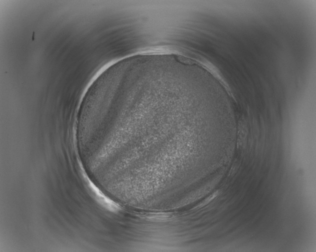 X0000079281484200612011645