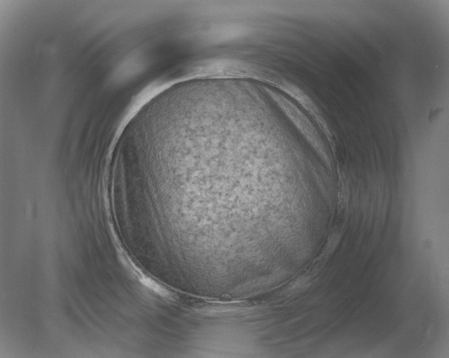 X0000079281486200612011645