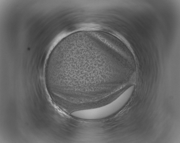 X0000079281488200612011645
