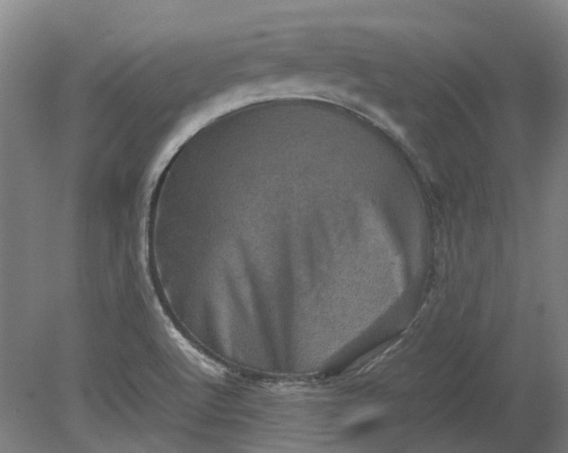 X0000079281512200612011645