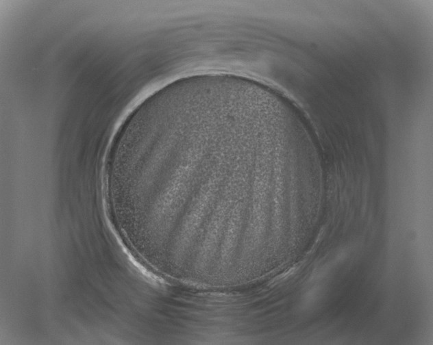 X0000079281517200612011645