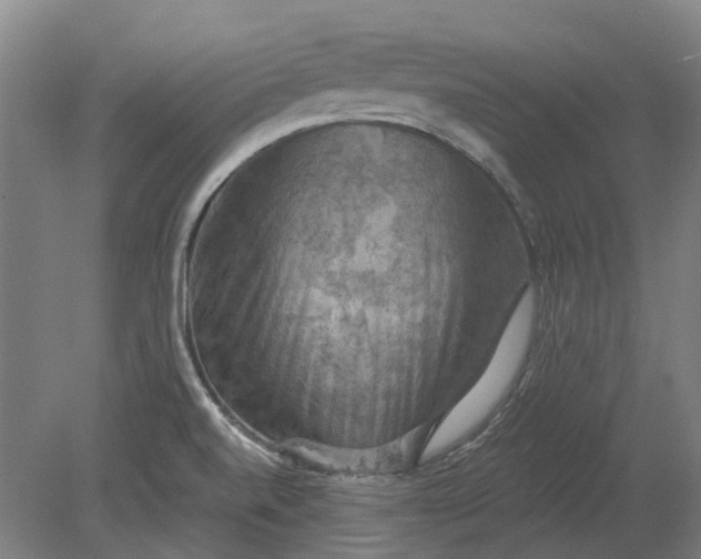 X0000079281520200612011645