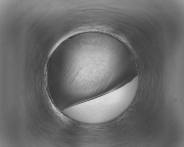 X0000079281524200612011645