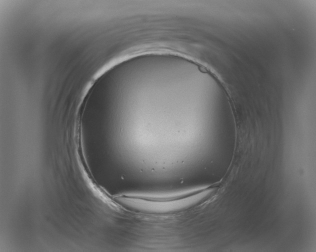 X0000079281526200612011645
