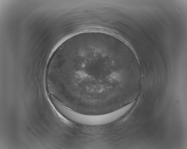 X0000079281533200612011645