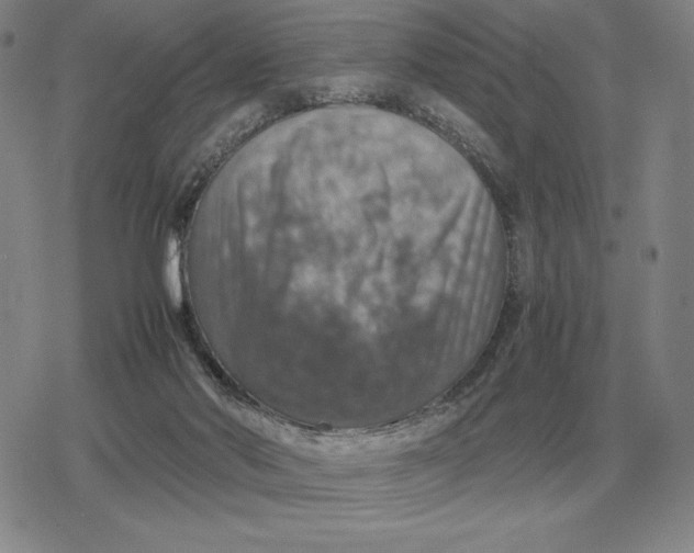X0000079280022200612081804