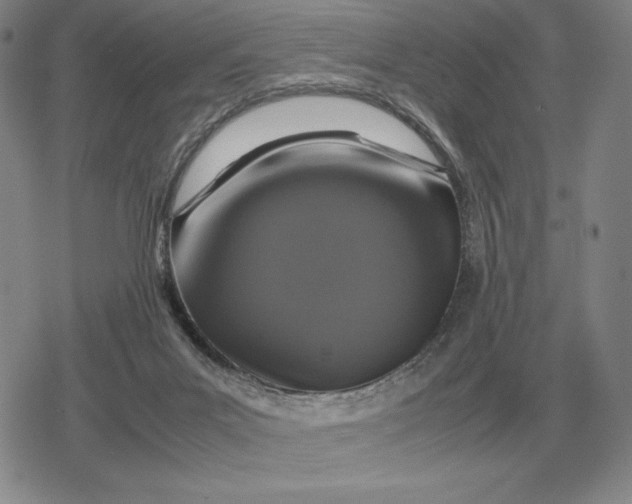 X0000079280023200612081804