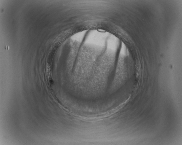 X0000079280029200612081804