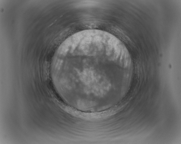 X0000079280030200612081804