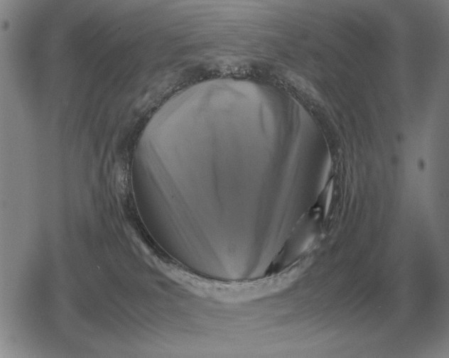 X0000079280039200612081804