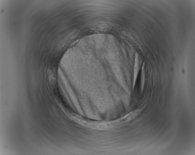 X0000079280040200612081804