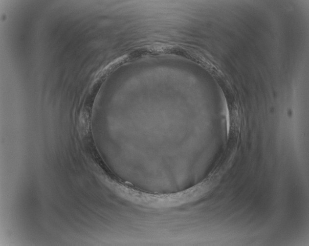 X0000079280043200612081804