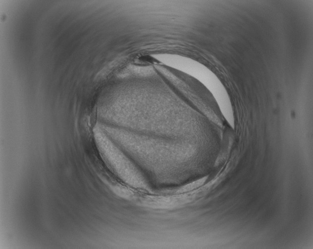 X0000079280045200612081804