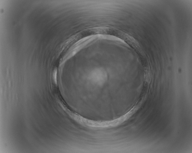 X0000079280047200612081804