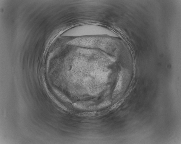 X0000079280049200612081803