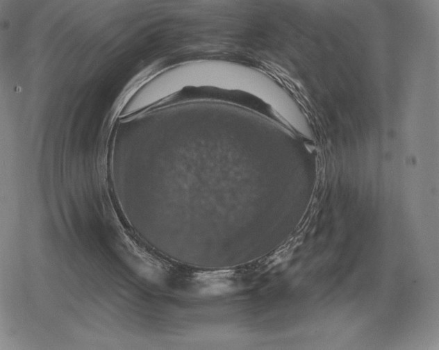 X0000079280051200612081803