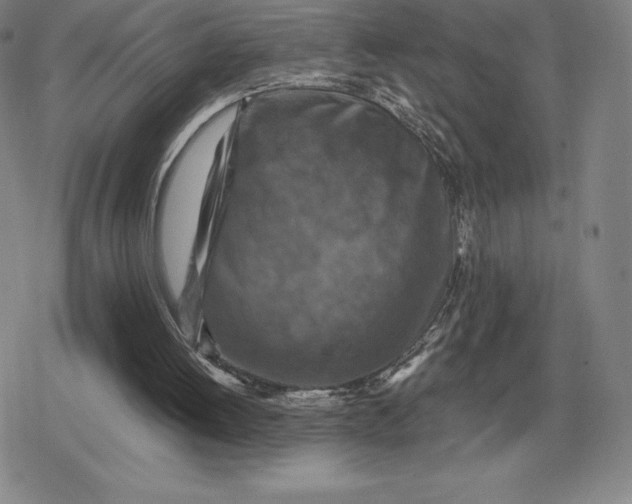 X0000079280052200612081803