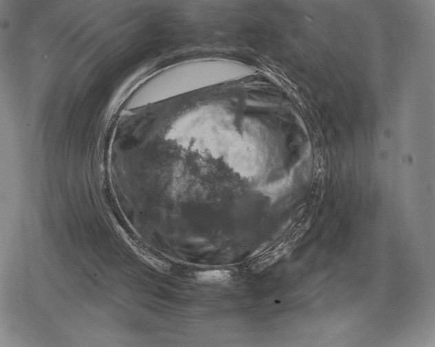 X0000079280053200612081803