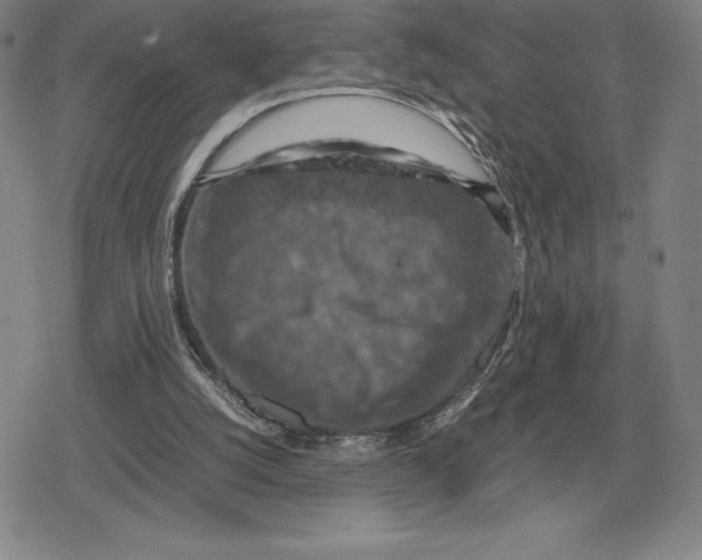 X0000079280056200612081803