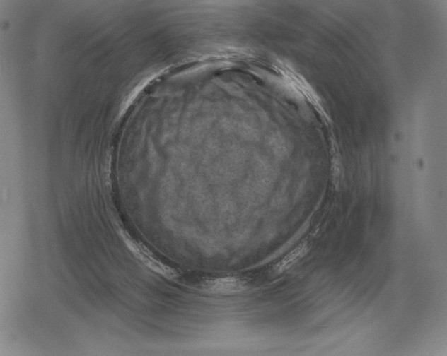 X0000079280058200612081803