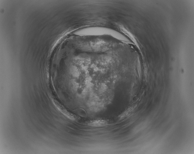 X0000079280059200612081803