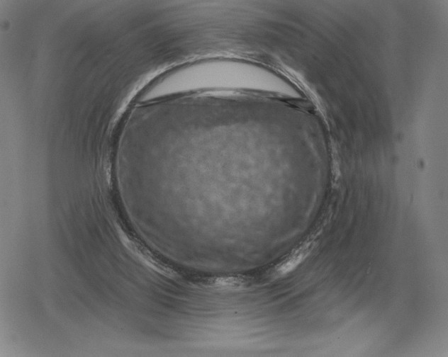 X0000079280060200612081803