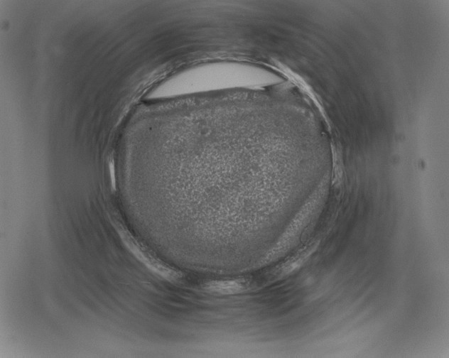 X0000079280061200612081803