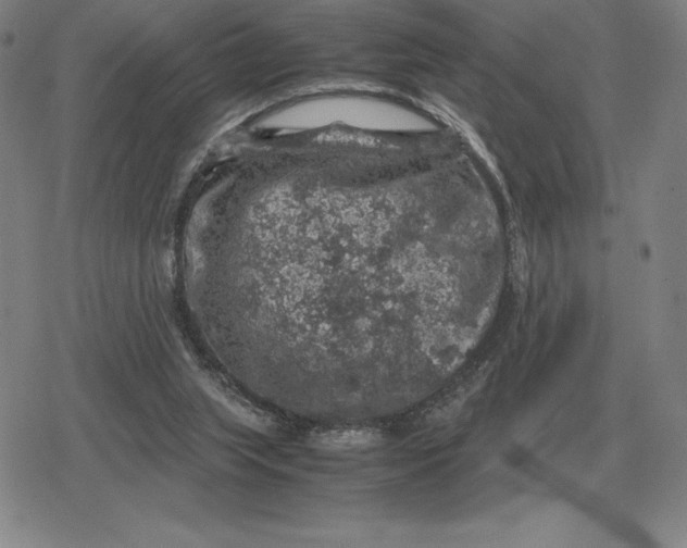 X0000079280063200612081803