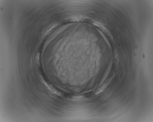 X0000079280066200612081803