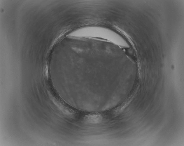 X0000079280067200612081803