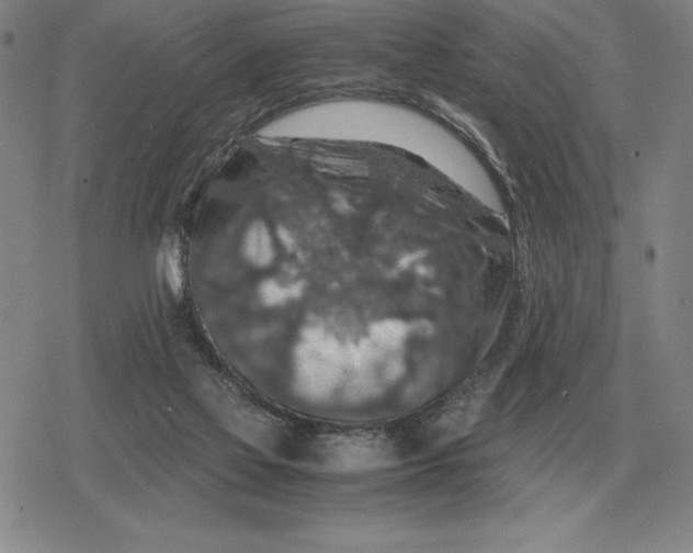 X0000079280069200612081803