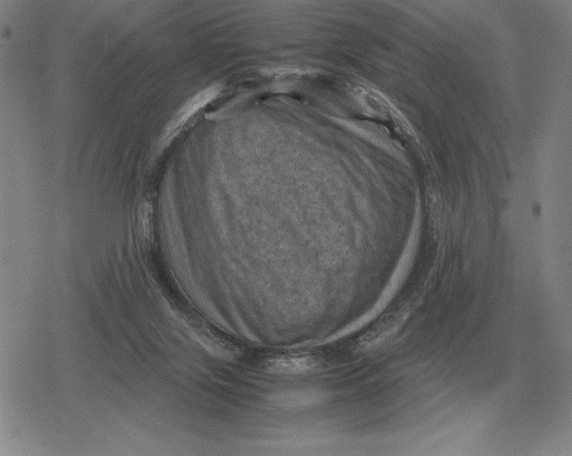 X0000079280071200612081804