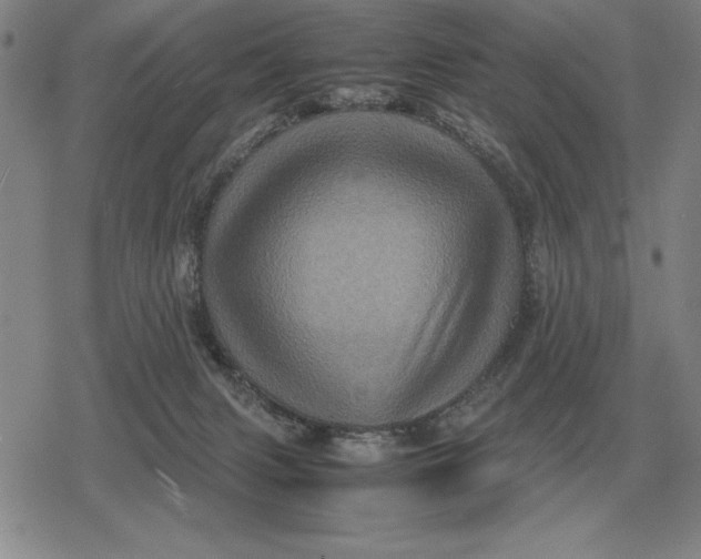 X0000079280079200612081804