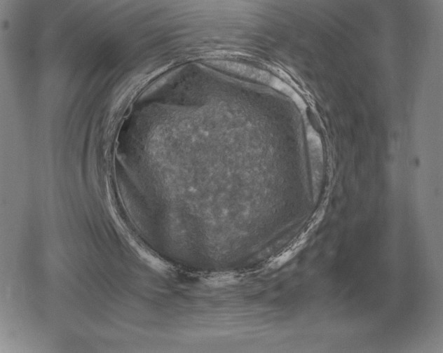 X0000079280097200612081803